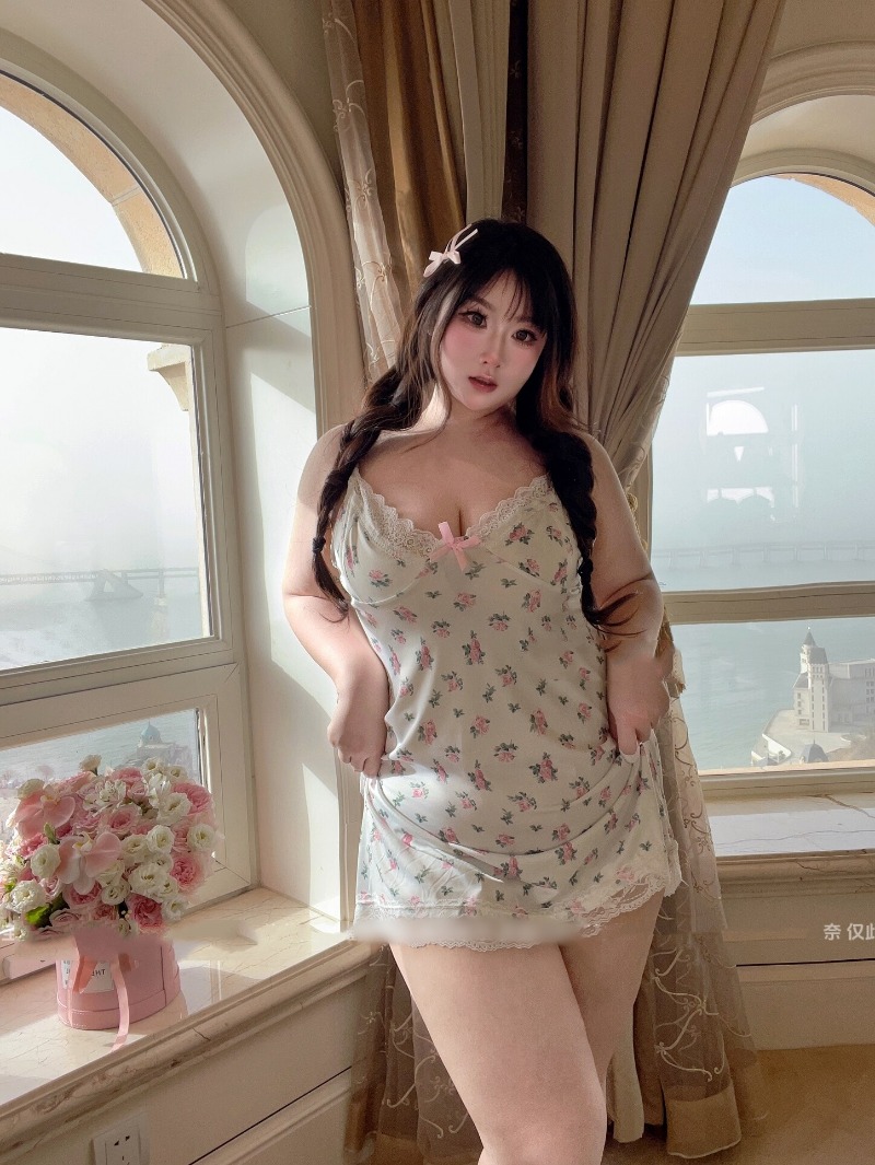 Women's Sexy Plus Size Lingeri - đánh giá và giá Babydoll Chemise Night