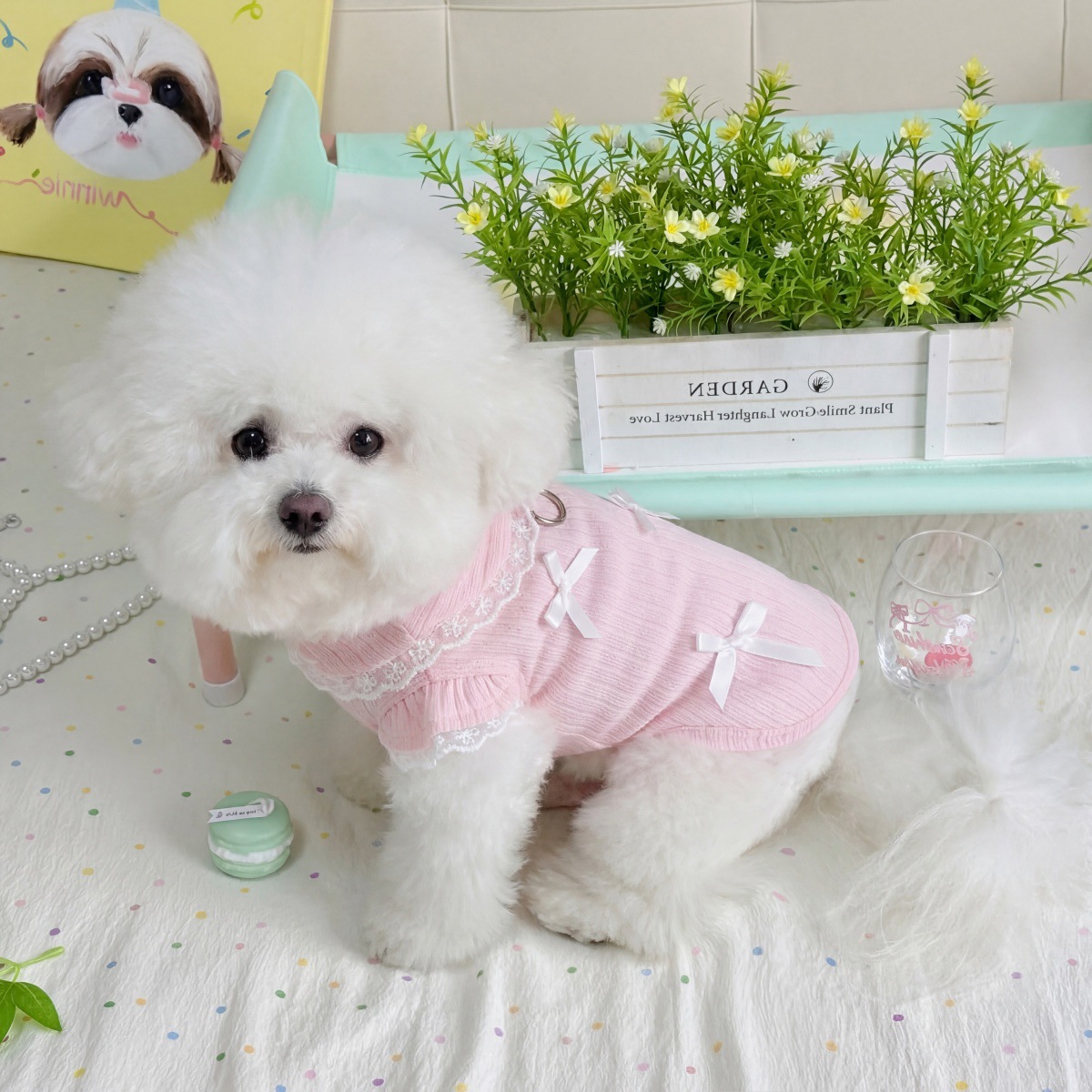 Pet Spring Lace Bow Vest Can P - đánh giá và giá Lace Teddy Lingerie