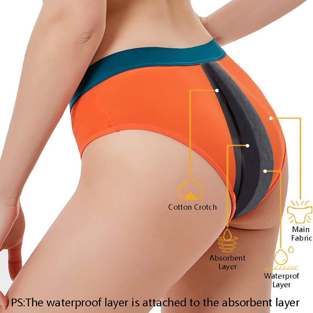 Women's Period Underwear Menst - đánh giá và giá Period Panty Absorbent